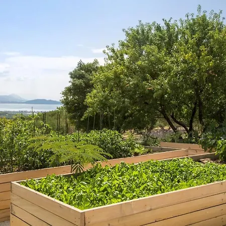 Panoramic In Prgomet, Sea View And Private Pool *