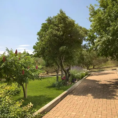 Panoramic In Prgomet, Sea View And Private Pool *