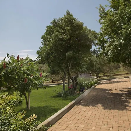 Panoramic In Prgomet, Sea View And Private Pool